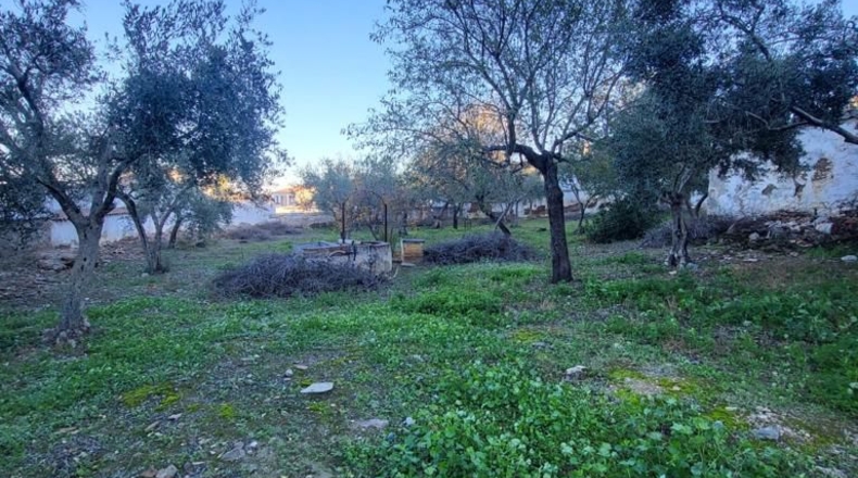 Badajoz - Azuaga - 853m2