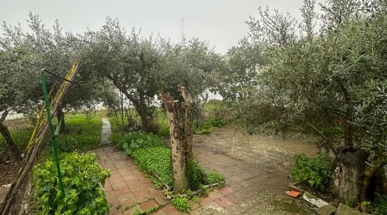 Badajoz - Azuaga - 372m2