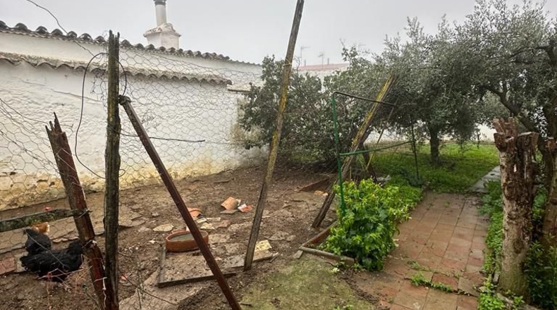 Badajoz - Azuaga - 372m2