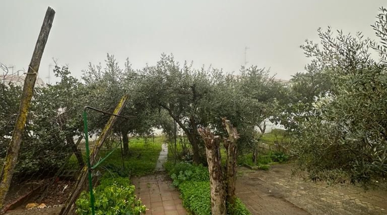 Badajoz - Azuaga - 372m2