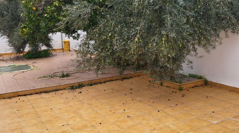 Badajoz - Granja de Torrehermosa - 332m2