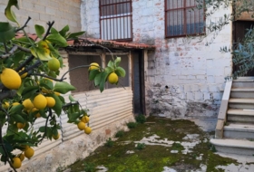 Foto 16
