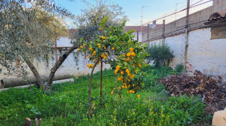 Badajoz - Azuaga - 233m2