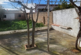 Foto 19