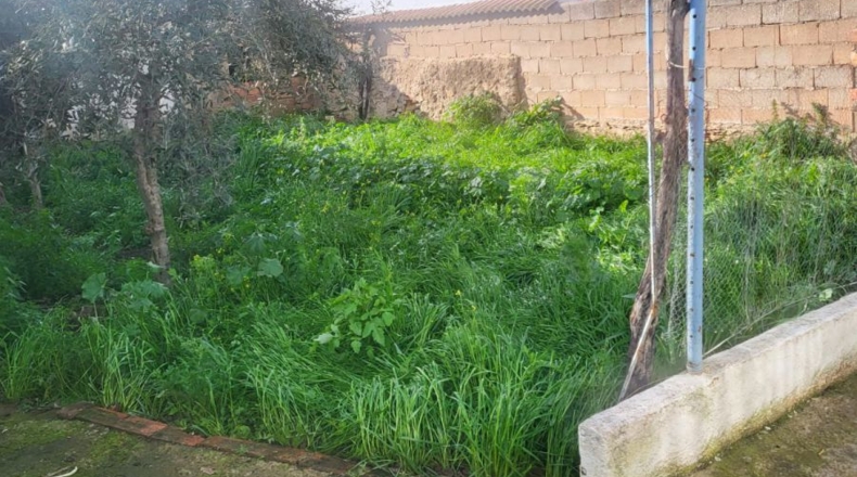 Badajoz - Granja de Torrehermosa - 334m2