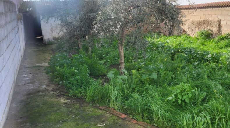 Badajoz - Granja de Torrehermosa - 334m2