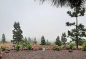 Land with storage building for sale in Vilaflor ref: TR403280 photo