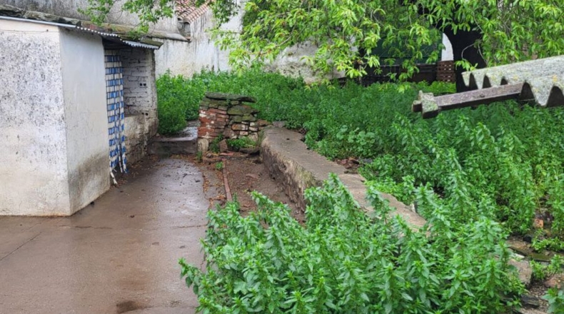 Badajoz - Granja de Torrehermosa - 362m2