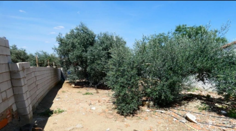 Badajoz - Azuaga - 558m2