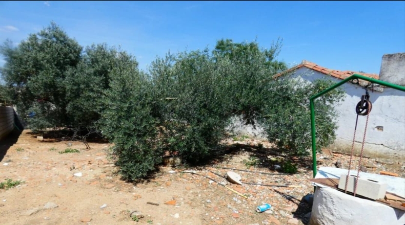 Badajoz - Azuaga - 558m2