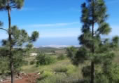 Land with storage building for sale in Vilaflor ref: TR403280 photo