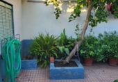Village house for sale in Granja de Torrehermosa ref: TR183029 photo