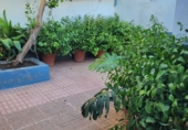 Village house for sale in Granja de Torrehermosa ref: TR183029 photo