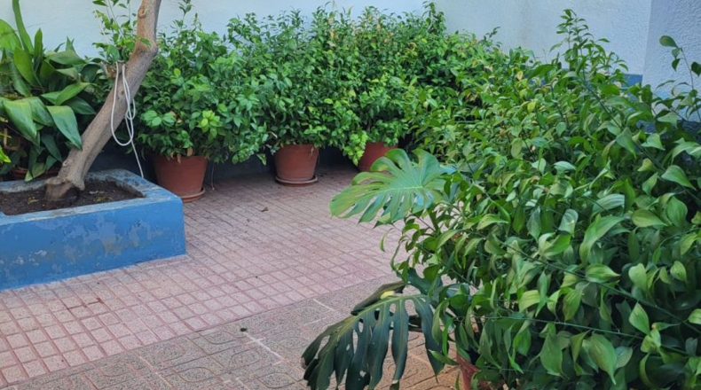 Badajoz - Granja de Torrehermosa - 261m2
