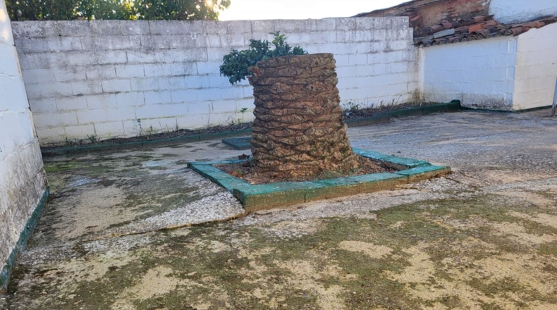 Badajoz - Granja de Torrehermosa - 261m2