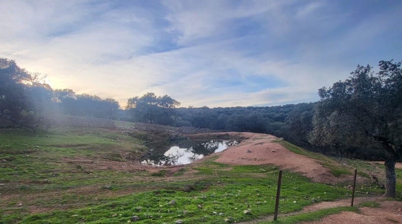 Córdoba - Cuenca - 719418m2