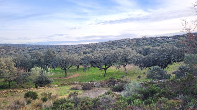 Córdoba - Cuenca - 719418m2