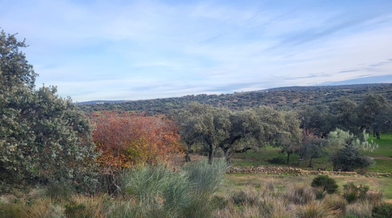 Córdoba - Cuenca - 719418m2