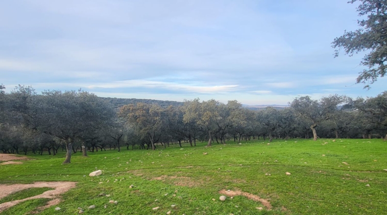 Córdoba - Cuenca - 719418m2