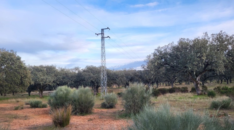 Córdoba - Cuenca - 719418m2