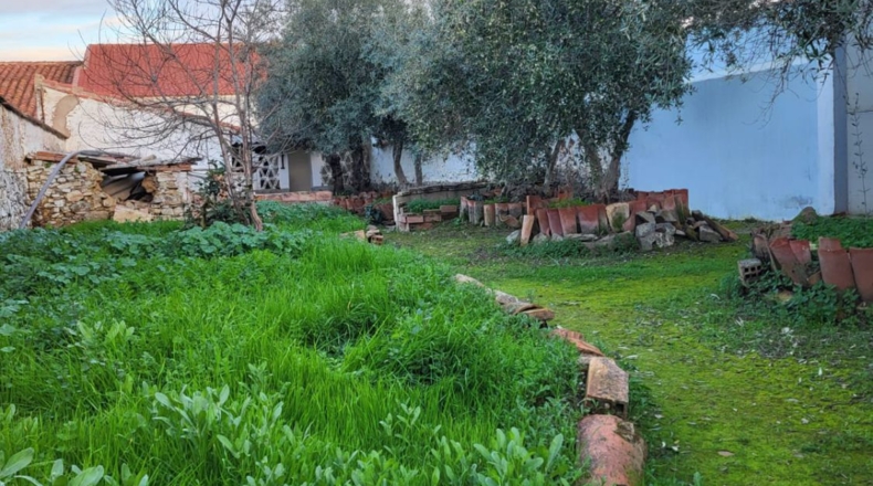 Badajoz - Granja de Torrehermosa - 388m2