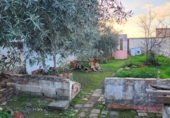 Casa de poble en venda a Granja de Torrehermosa ref.: TR284251 foto
