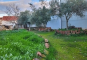 Casa de poble en venda a Granja de Torrehermosa ref.: TR284251 foto