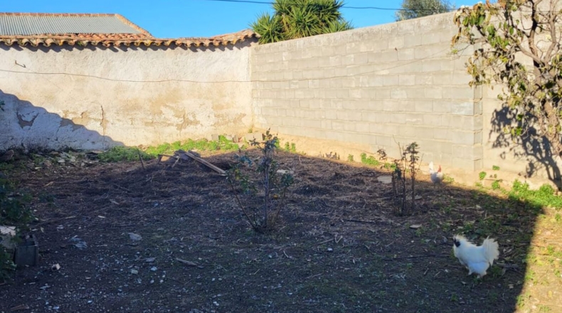 Badajoz - Granja de Torrehermosa - 291m2