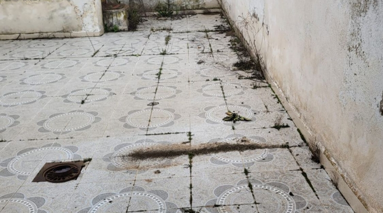 Badajoz - Granja de Torrehermosa - 115m2