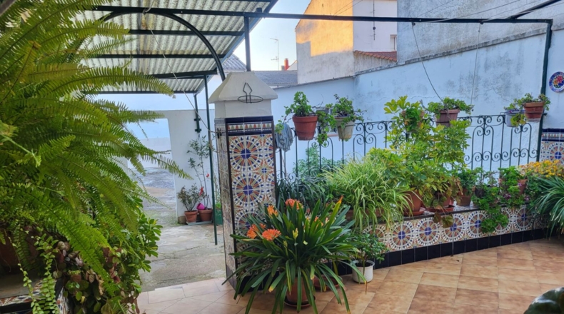 Badajoz - Azuaga - 355m2