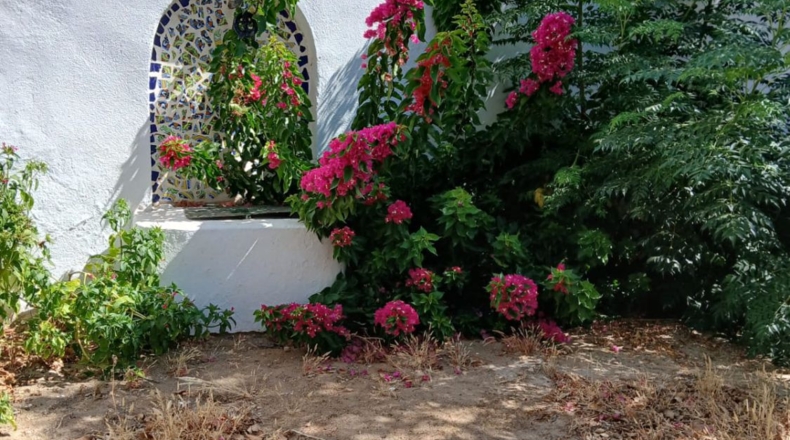 Badajoz - Granja de Torrehermosa - 405m2