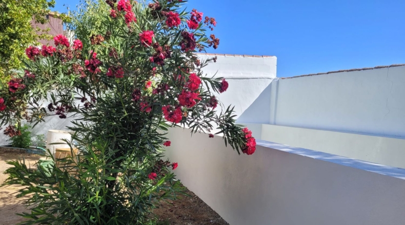 Badajoz - Granja de Torrehermosa - 405m2