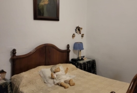 Foto 20