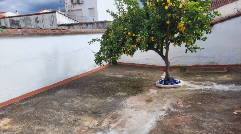 Badajoz - Azuaga - 307m2