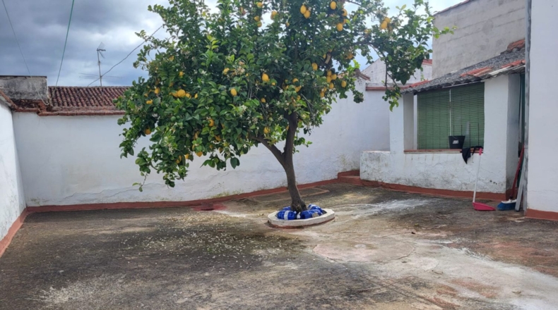 Badajoz - Azuaga - 307m2