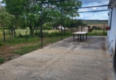 Masia with land for sale in Azuaga ref: TR261601 photo