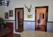 Masia with land for sale in Azuaga ref: TR261601 photo