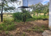 Masia with land for sale in Azuaga ref: TR261601 photo