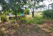 Masia with land for sale in Azuaga ref: TR261601 photo
