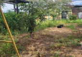 Masia with land for sale in Azuaga ref: TR261601 photo
