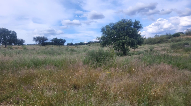 Badajoz - Асуага - 38227m2