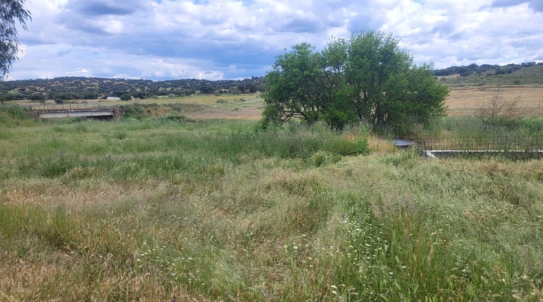 Badajoz - Асуага - 38227m2