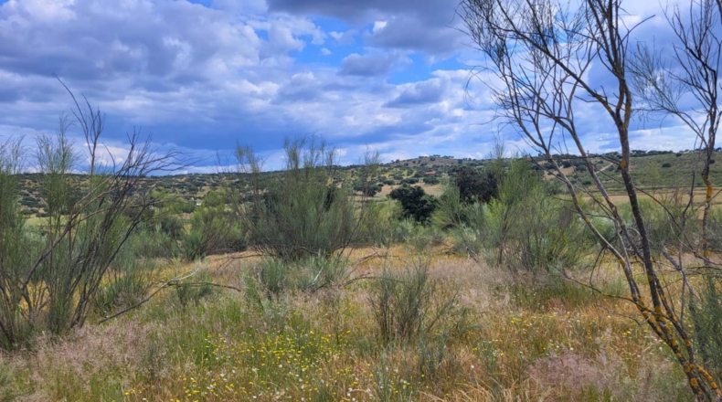 Badajoz - Асуага - 25760m2