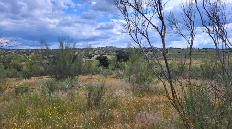 Badajoz - Асуага - 25760m2