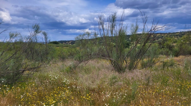 Badajoz - Асуага - 25760m2