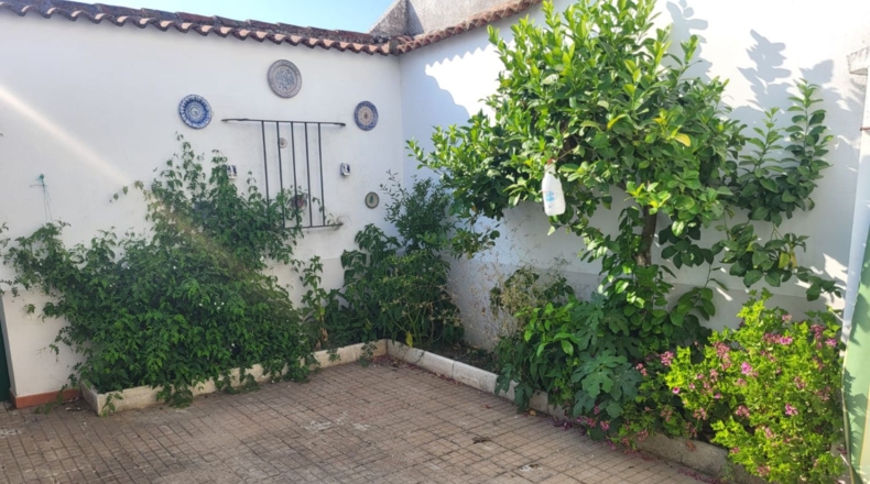 Badajoz - Granja de Torrehermosa - 1042m2
