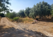 Xalet independent amb terreny en venda a Granja de Torrehermosa ref.: TR287170 foto