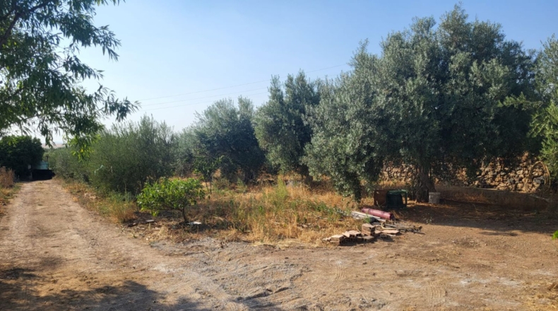 Badajoz - Granja de Torrehermosa - 1042m2
