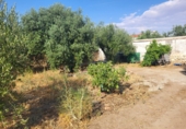 Xalet independent amb terreny en venda a Granja de Torrehermosa ref.: TR287170 foto