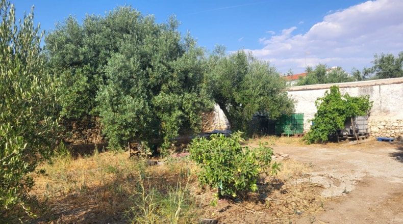 Badajoz - Granja de Torrehermosa - 1042m2